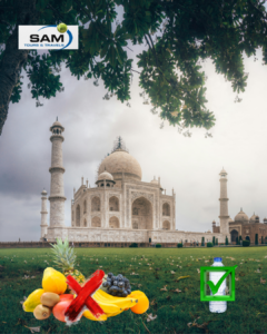 Can You Carry Food Inside the Taj Mahal? Visitor Rules Guide